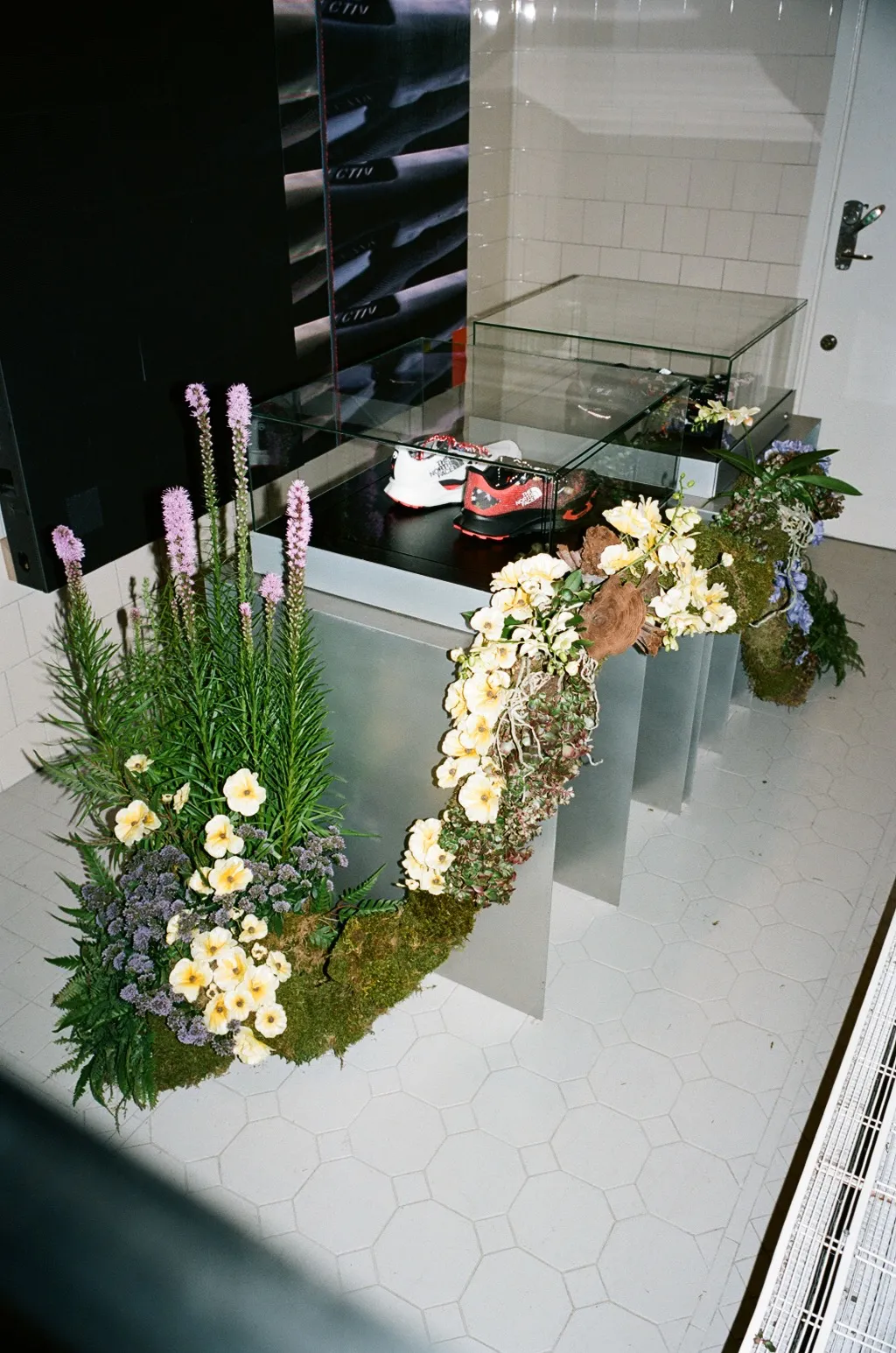 Botanical installation KA-YO