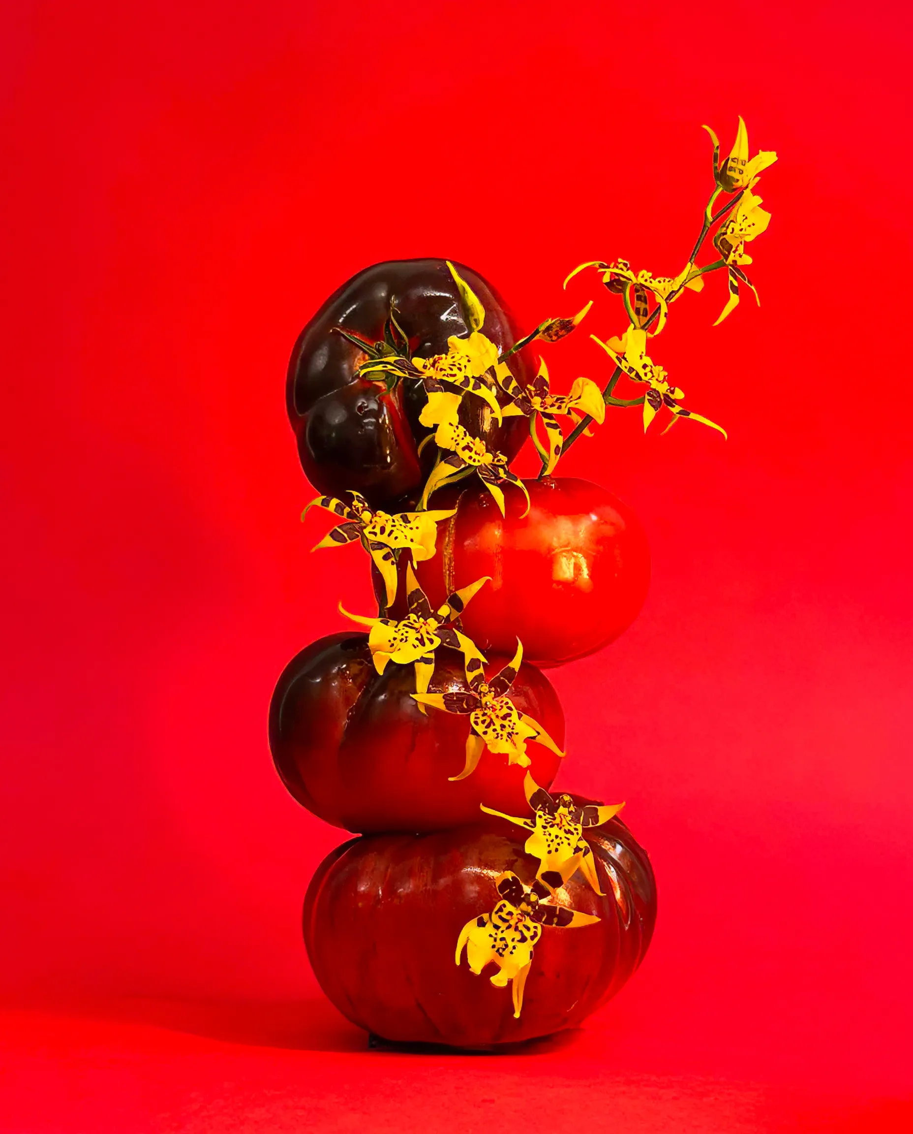 Tomato, tomato